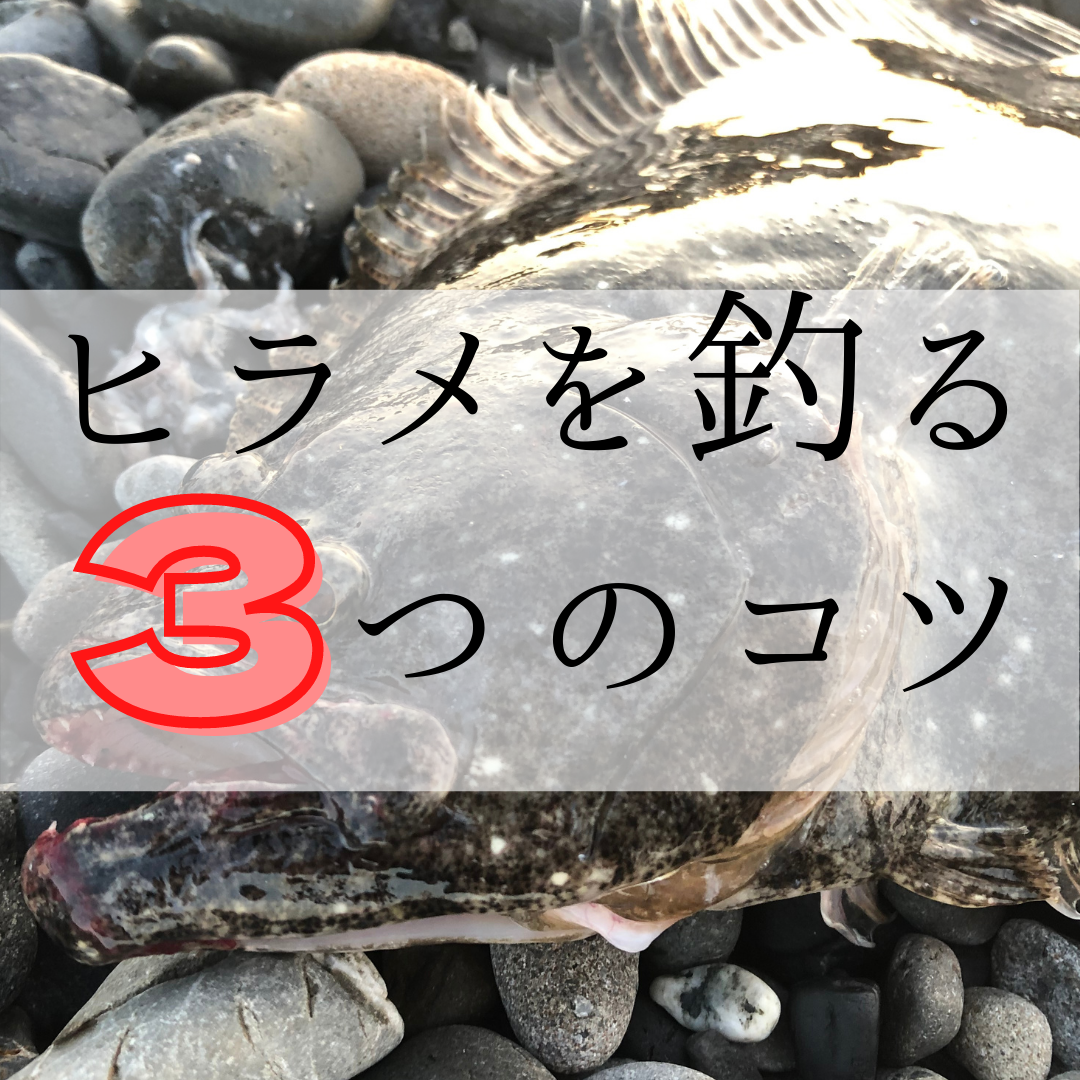 ヒラメを釣る3つのコツ／静岡・清水・三保サーフ